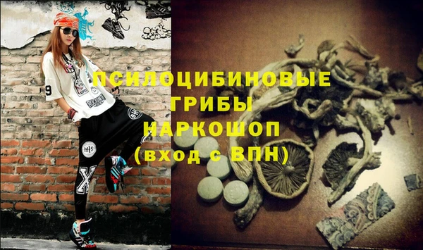 скорость Бронницы