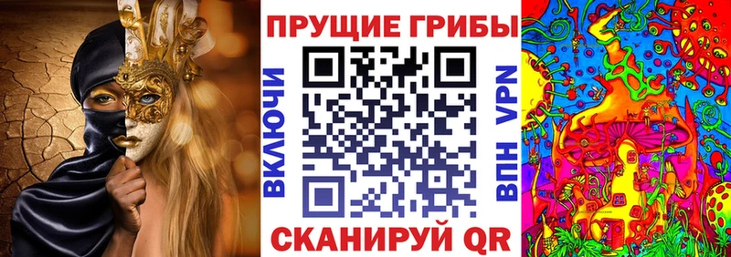 Галлюциногенные грибы Magic Shrooms закладки Медногорск