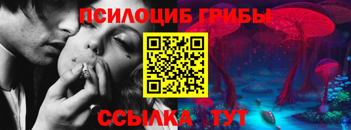 Галлюциногенные грибы Magic Shrooms  Вход с VPN  Медногорск 